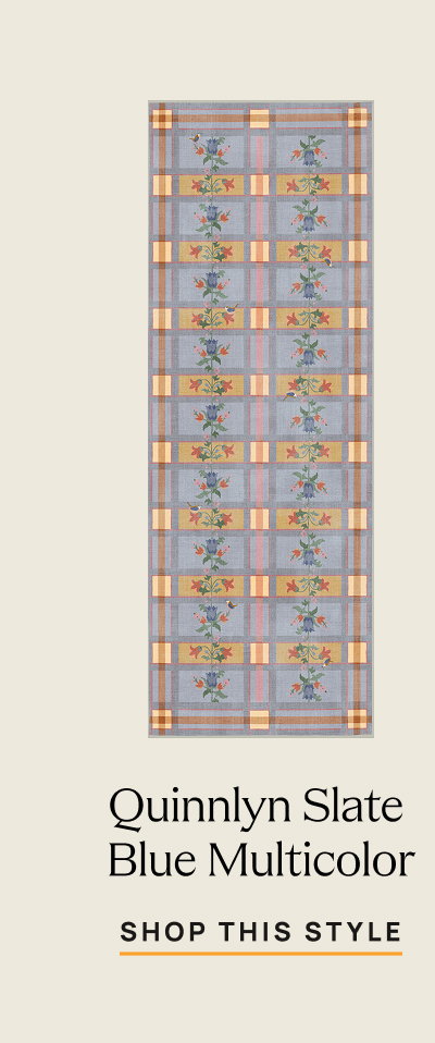 Quinnyln Slate Blue Multicolor 