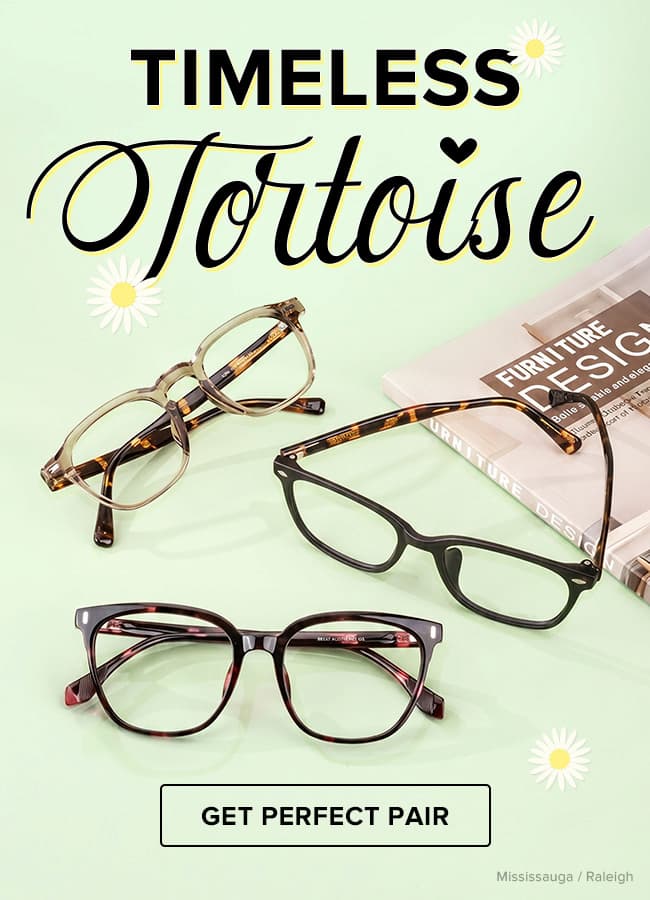 Timeless Tortoise
