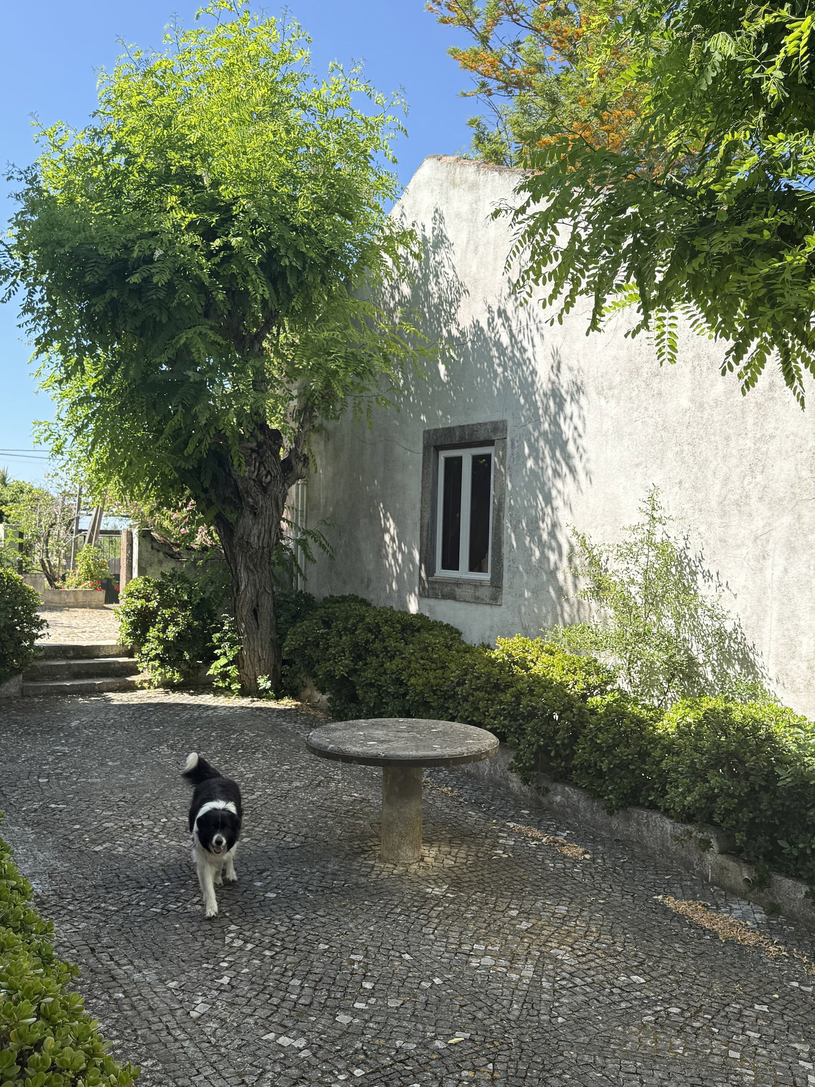 image of a house