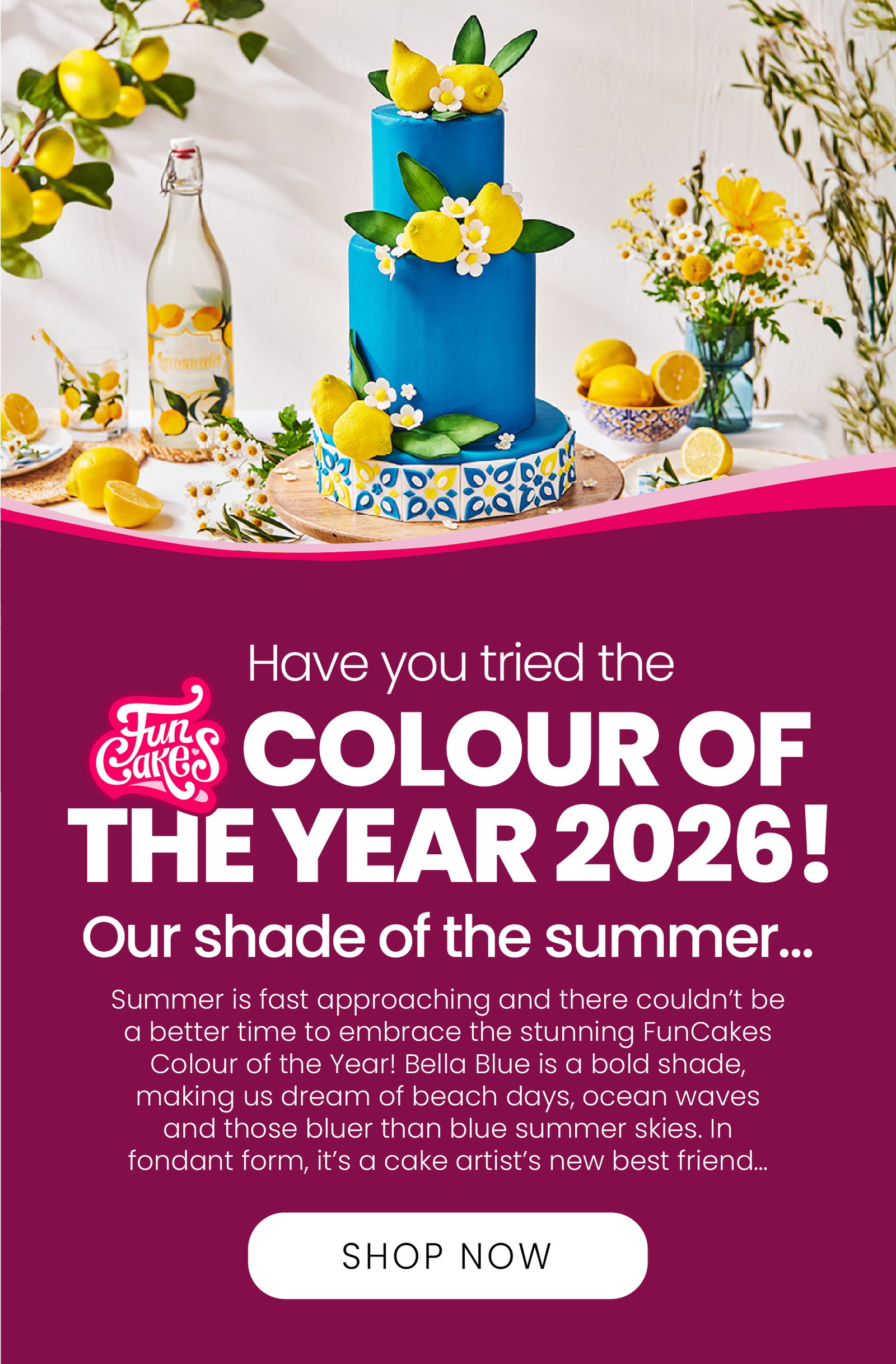 Meet the FunCakes Colour of the Year 2026 | Our Shade of the summer | Shop now