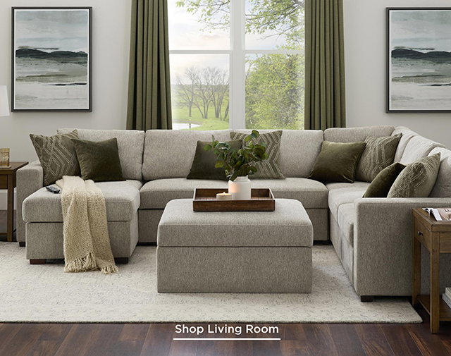 Shop Living Room