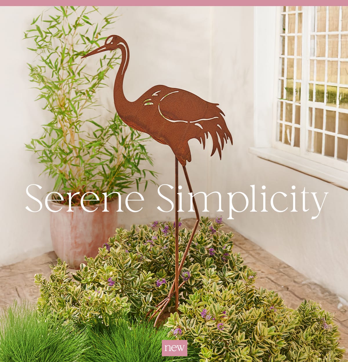  Serene Simplicity