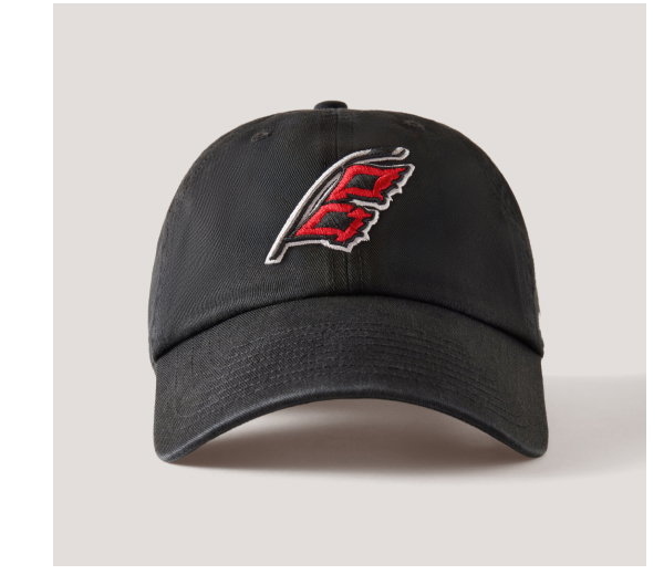 Carolina Hurricanes