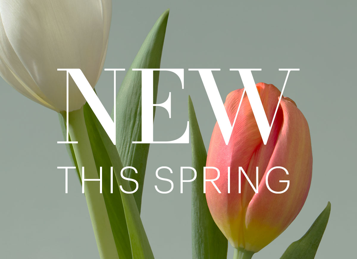 NEW THIS SPRING