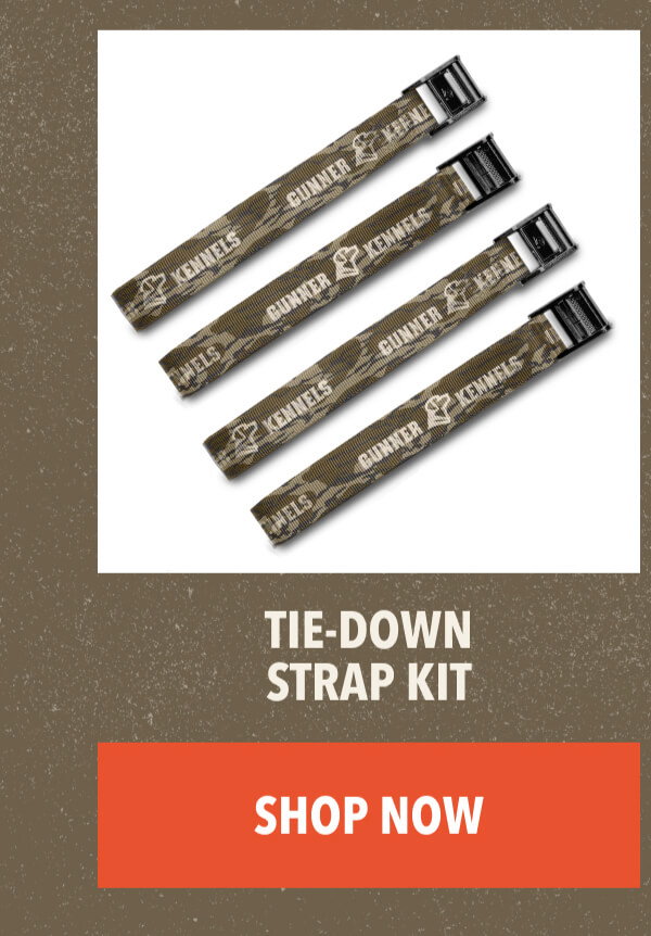 Tie-Down Strap Kit