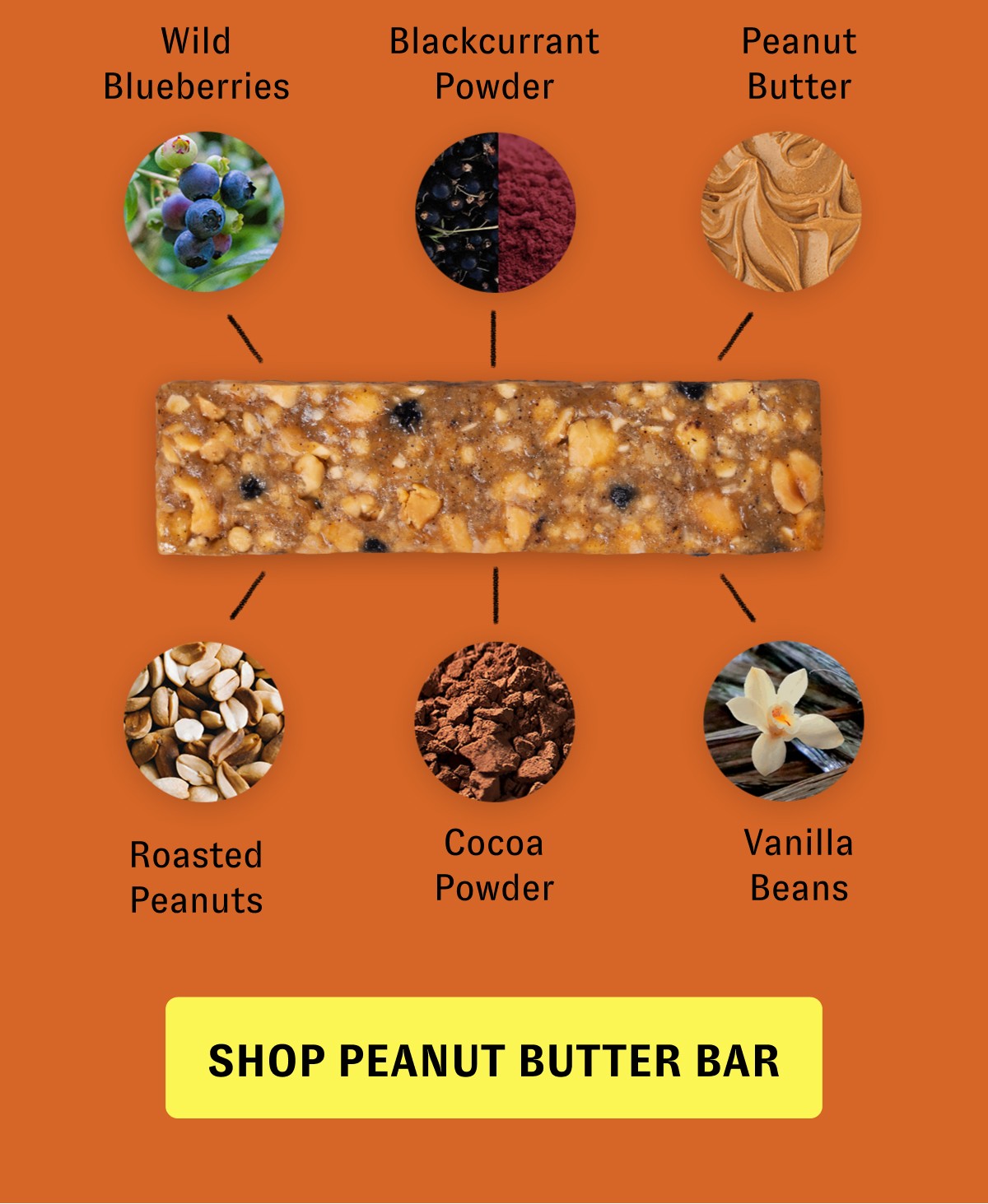 Wild Blueberries Blackcurrant Powder Peanut Butter Cocoa Powder Vanilla Beans Roasted Peanuts [SHOP PEANUT BUTTER BAR]