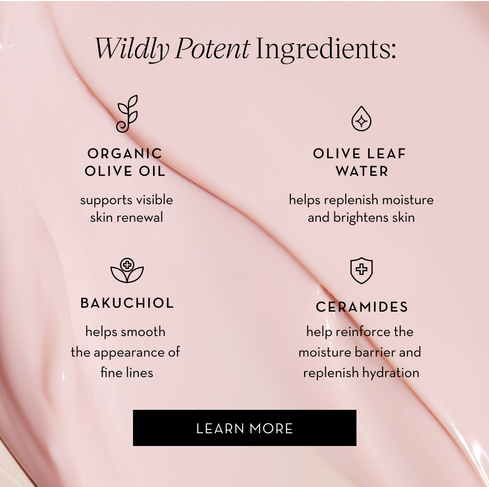 SHOP NIGHT CREAM
