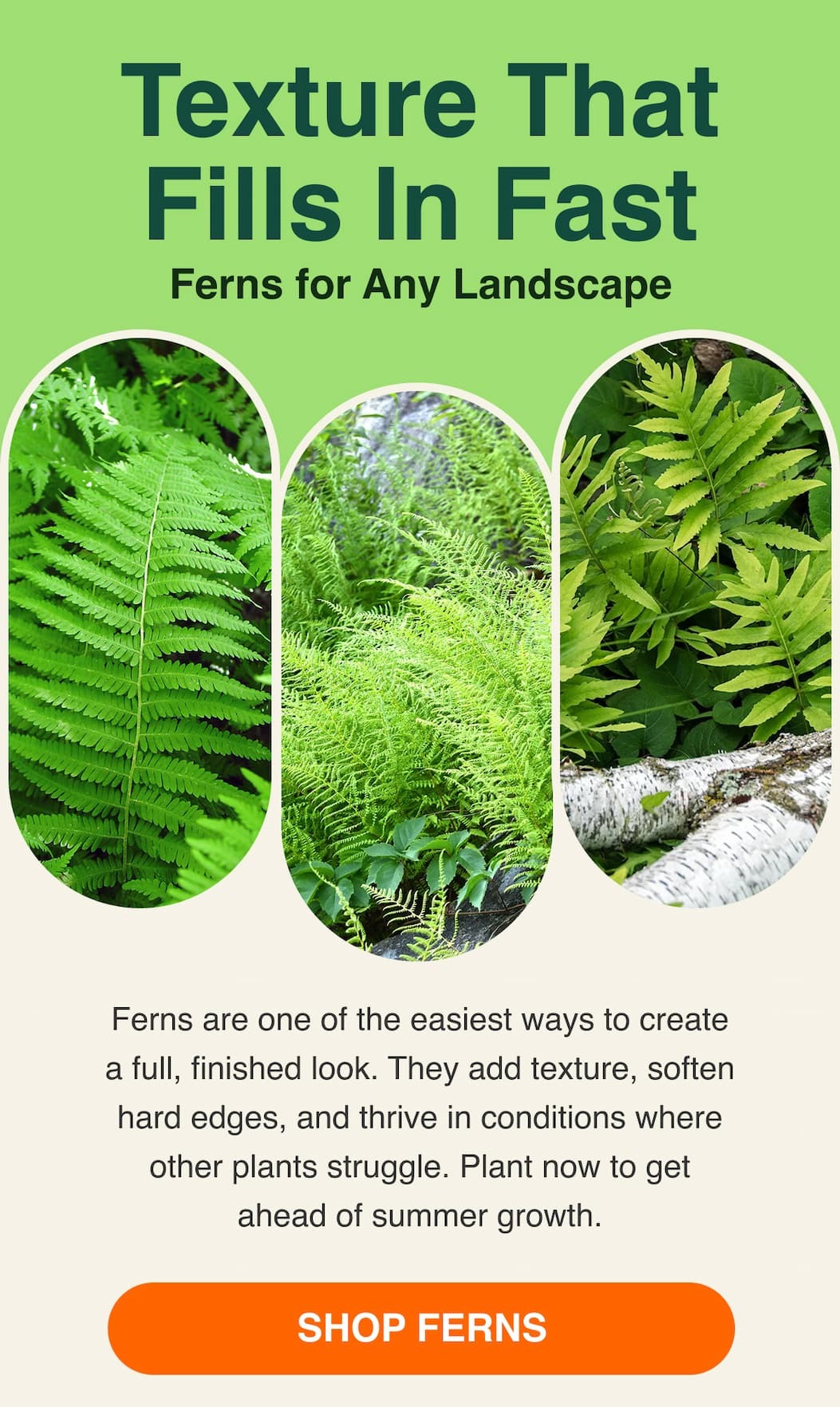 Texture that fils in fast