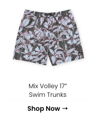 Mix Volley 17" Swim Trunks