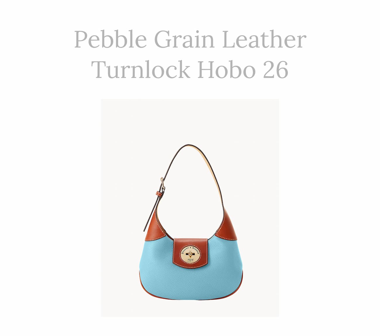 Pebble Turnlock Hobo 26