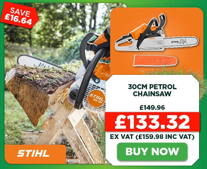 Stihl MS 162 30cm Petrol Chainsaw