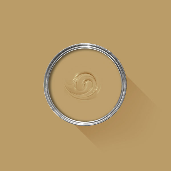 A photo looking down on a Farrow & Ball tin filled with Duster