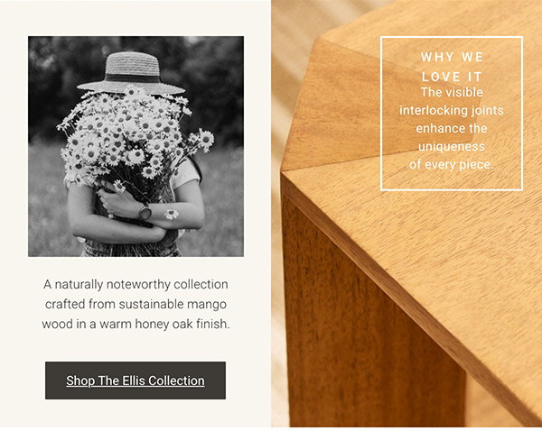 The Ellis Collection | Shop Now >