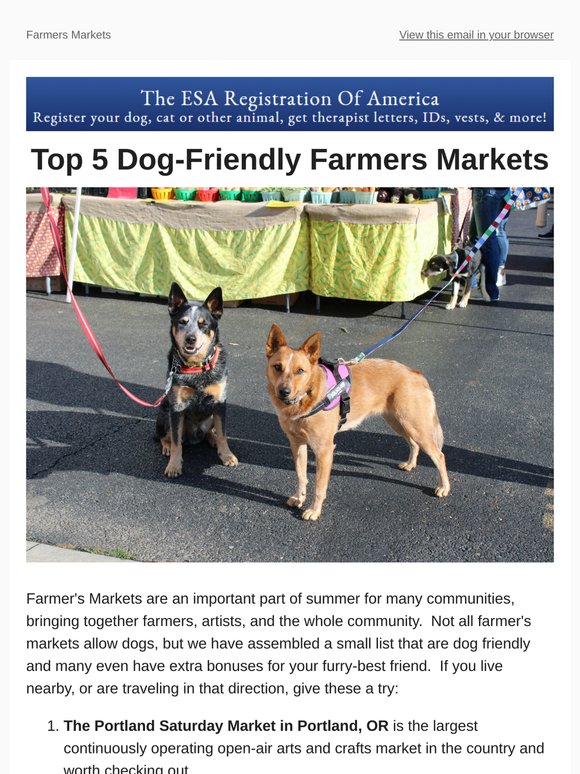Top 5 Farmers Markets: Dog Friendly Markets