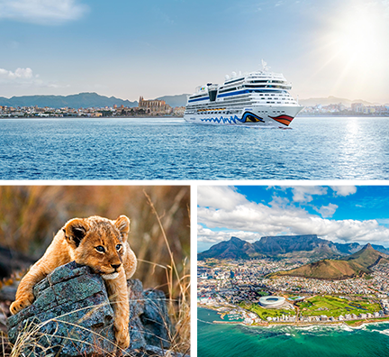 Bild-Collage: AIDAstella vor Palma de Mallorca, Löwenbaby liegt auf Steinfelsen sowie Kapstadt aus der Vogelperspektive.