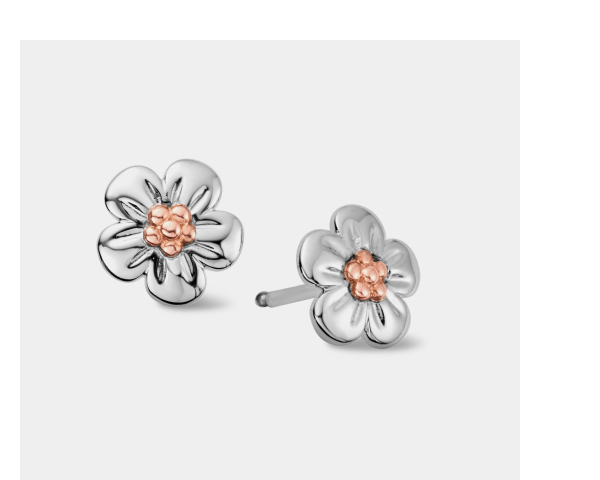 Nature's Wonder Sterling Silver Forget-Me-Not Stud Earrings