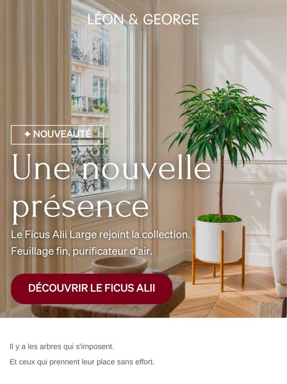 Une nouvelle présence rejoint la collection