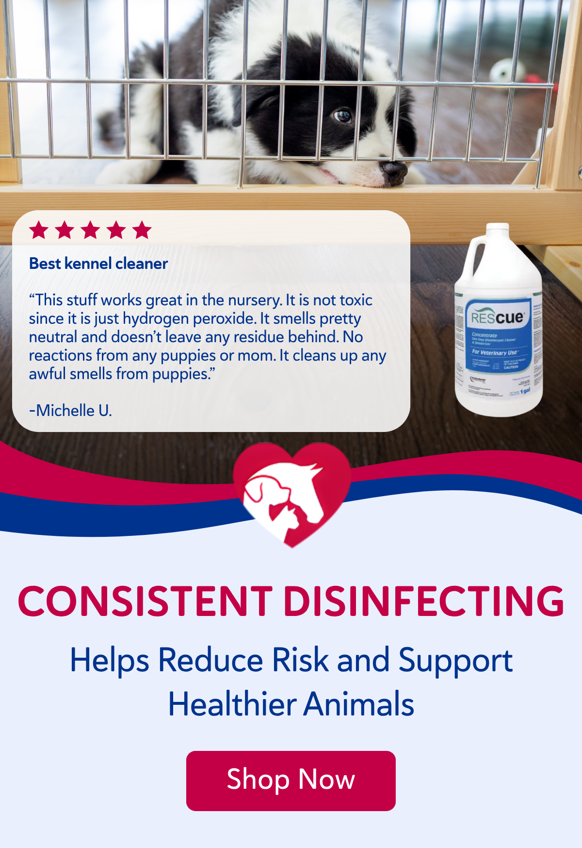  Image Details Consistent disinfecting helps reduce risk and support healthier animals