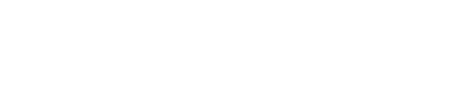 FOX ONE