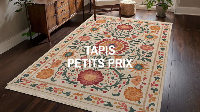 Tapis petits prix
