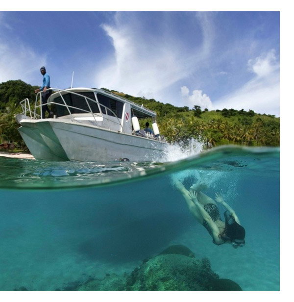 Dive To Fiji by Andrey Narchuk