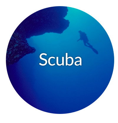 Shop the Scuba Collection