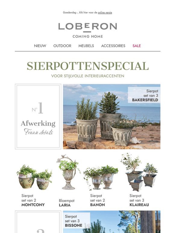 Groen geluk 🌻 Decoratieve sierpotten voor elke stijl