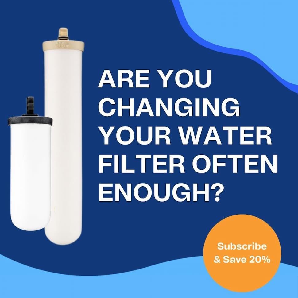Are you changing your water filter often enough
