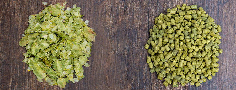 Hops for Beer Brewing