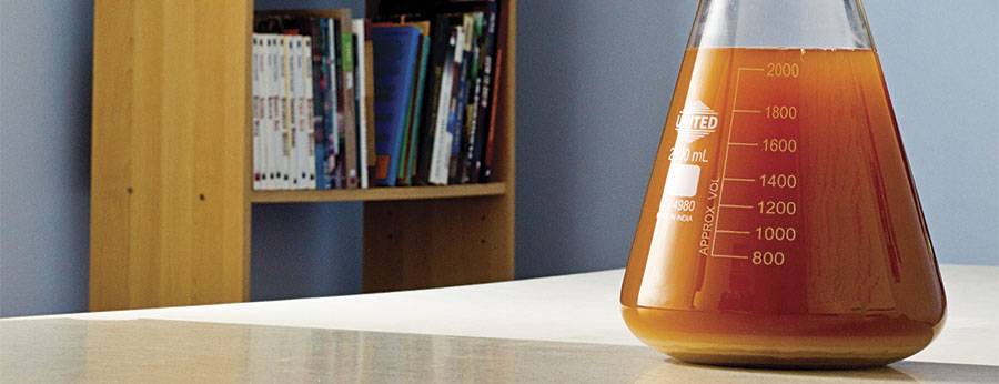 Beer Yeast in a 2000 mL Flask