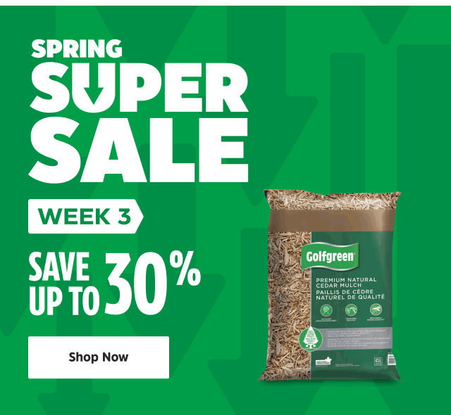 SPRING SUPER SALE WEEK 3. SAVE UP TO 30%. Shop Now.