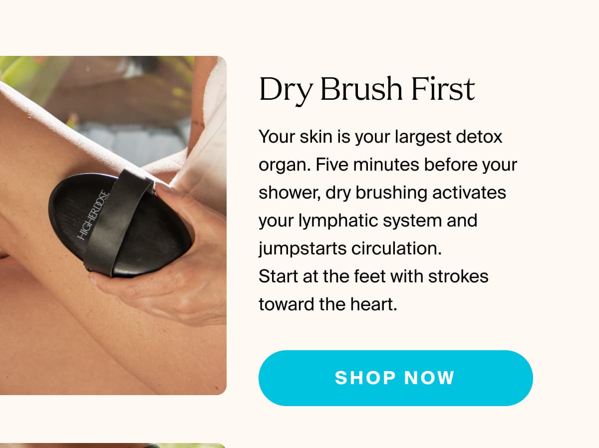 Dry Brush First | Your skin is your largest detox organ. Five minutes before your shower, dry brushing activates your lymphatic system and jumpstarts circulation.  Start at the feet with strokes toward the heart. | shop now