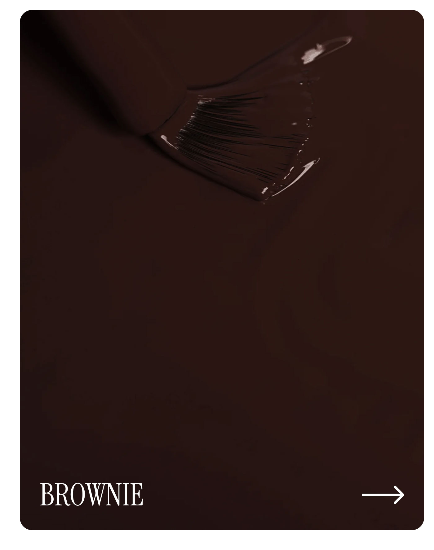 Brownie