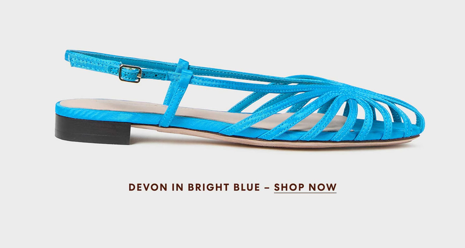 Devon in bright blue 