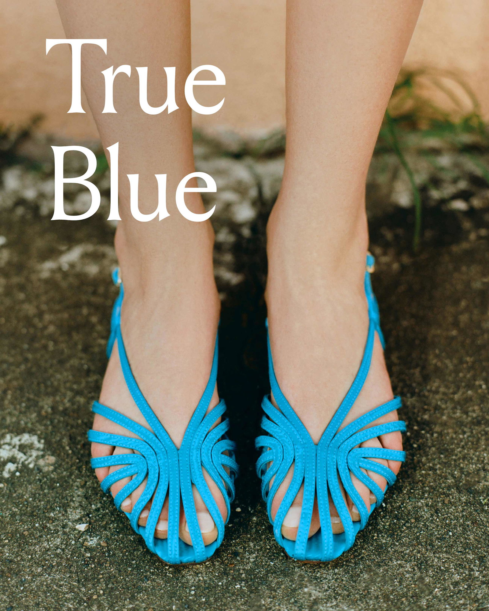 Early Access | Devon in Bright Blue 