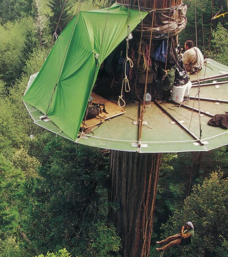 Patagonia SS25