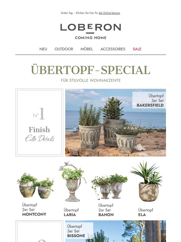 Pflanzenglück 🌻 Dekorative Übertöpfe für jeden Stil