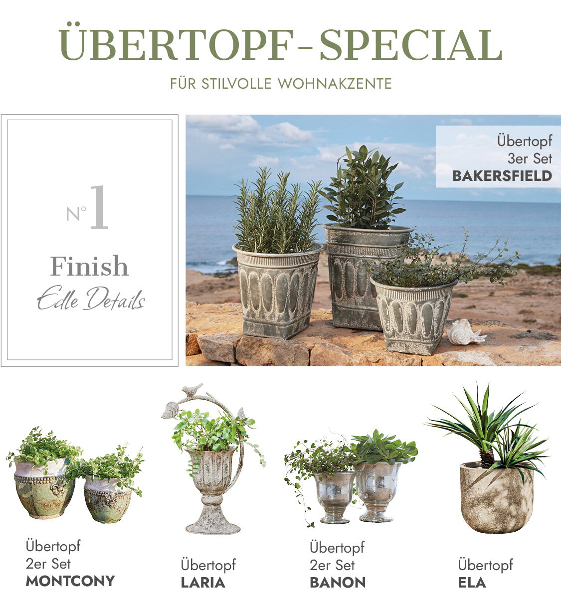 Übertopf-Special
