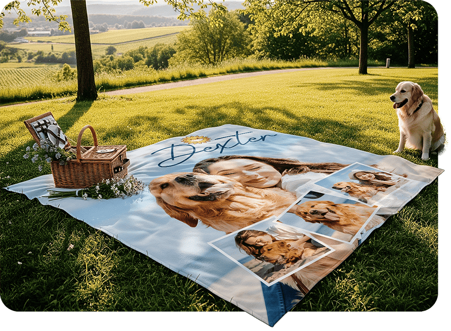 Picnic Blanket