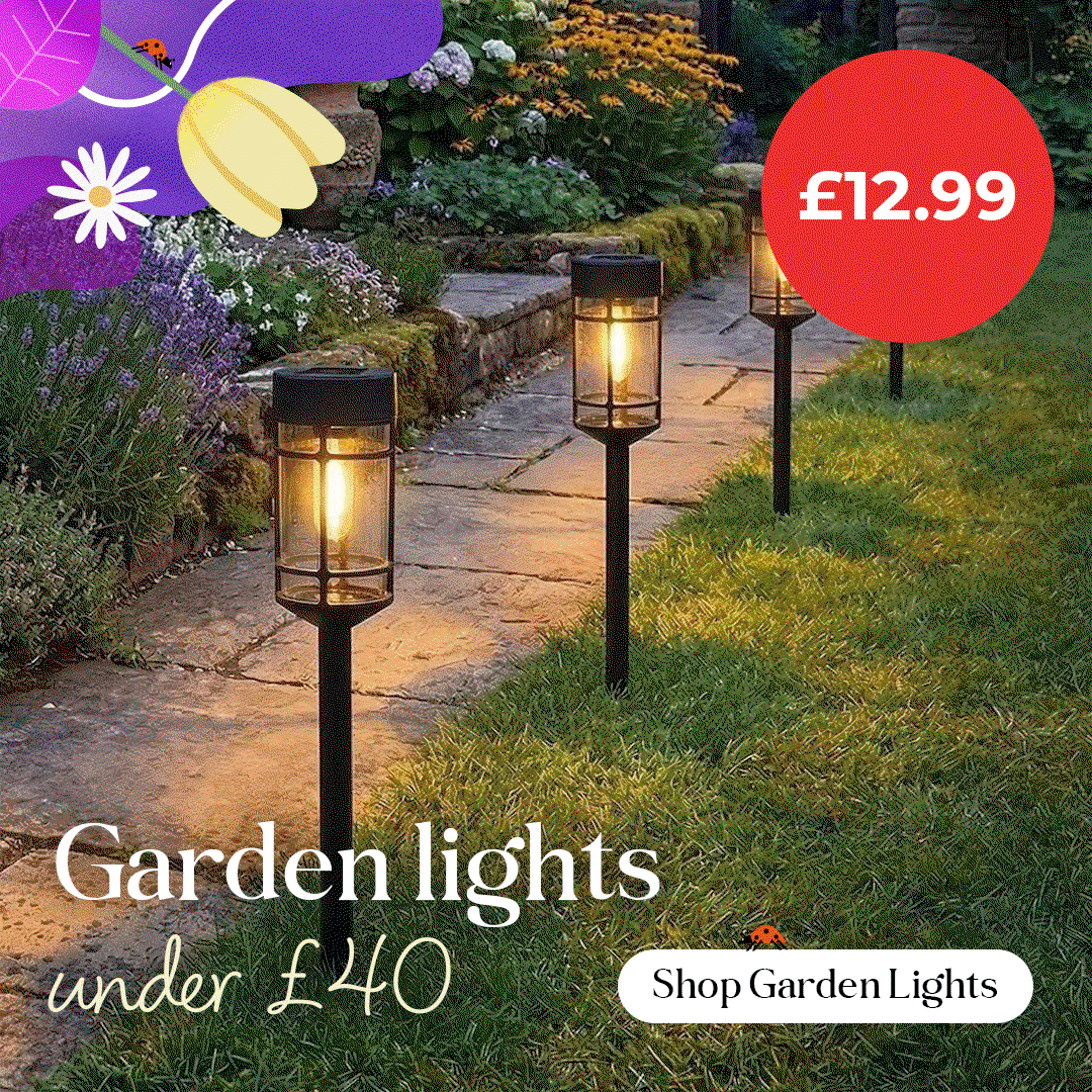 Solar Garden Lights under £40