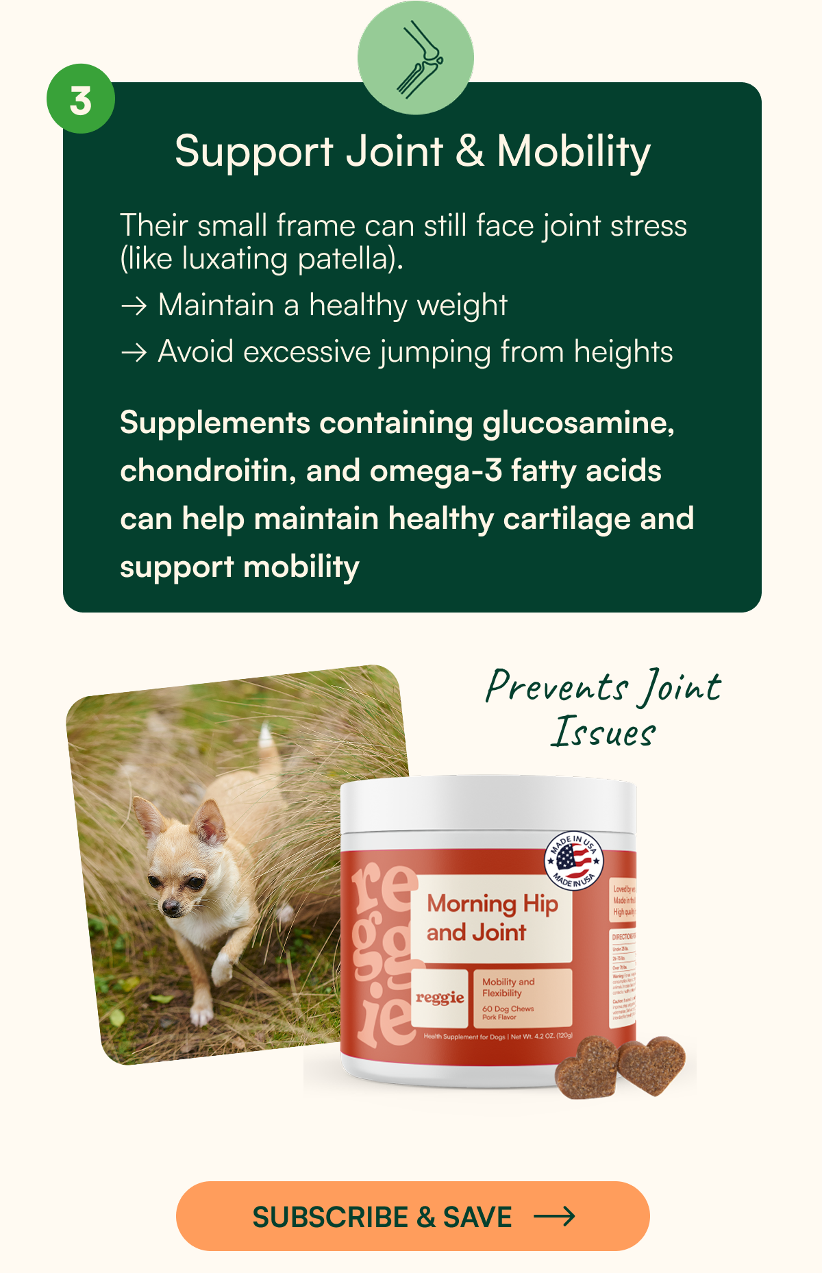 Morning Hip + Joint Chews
