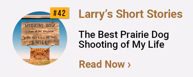 Larrys Short Stories #42