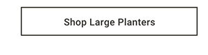 Shop Large Planters