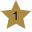 1 Star