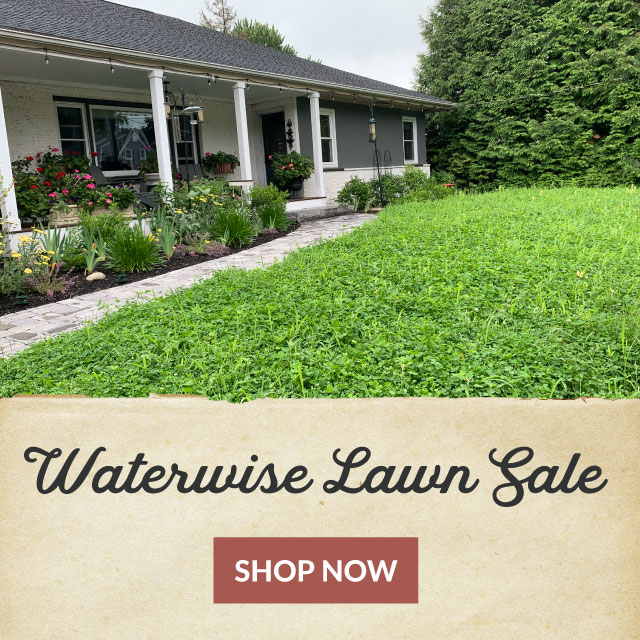 waterwise lawn sale