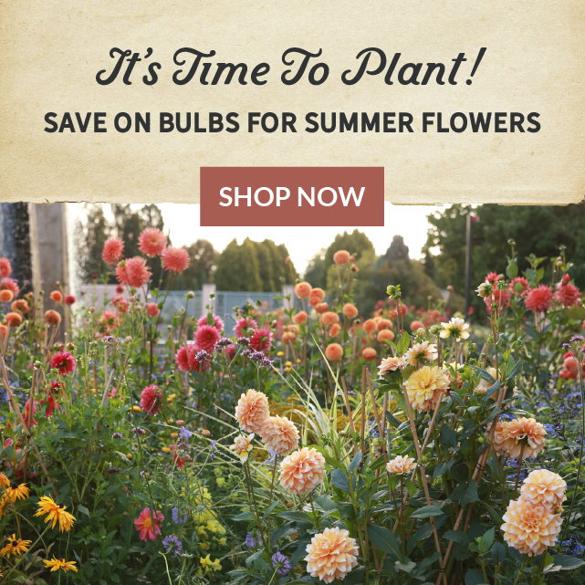 It's time to plant