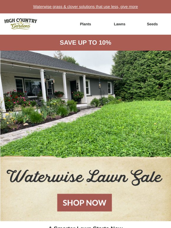 It's Time To Plant Your Sustainable Lawn