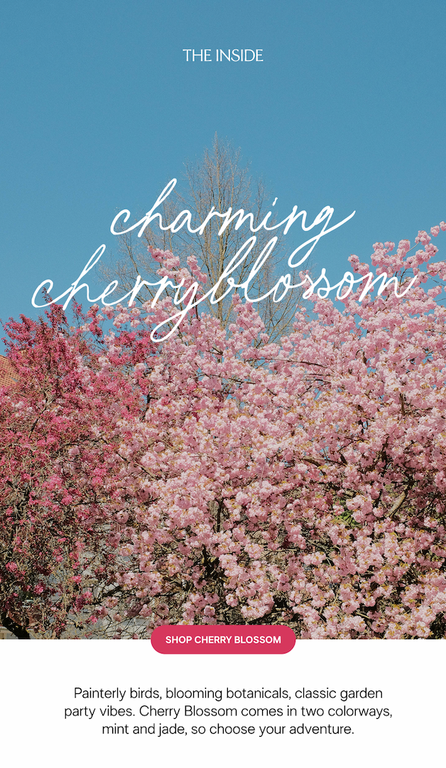 Shop Cherry Blossom