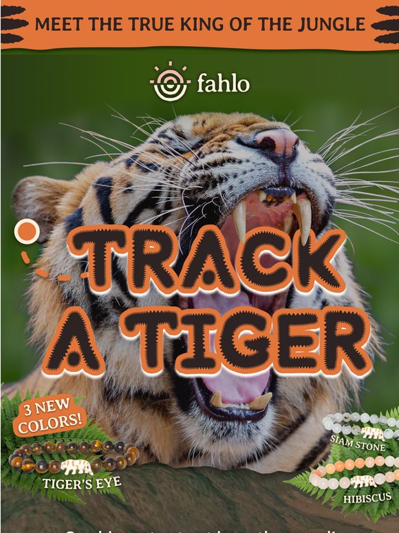 NEW! Track a real tiger! 🐯🧡🖤