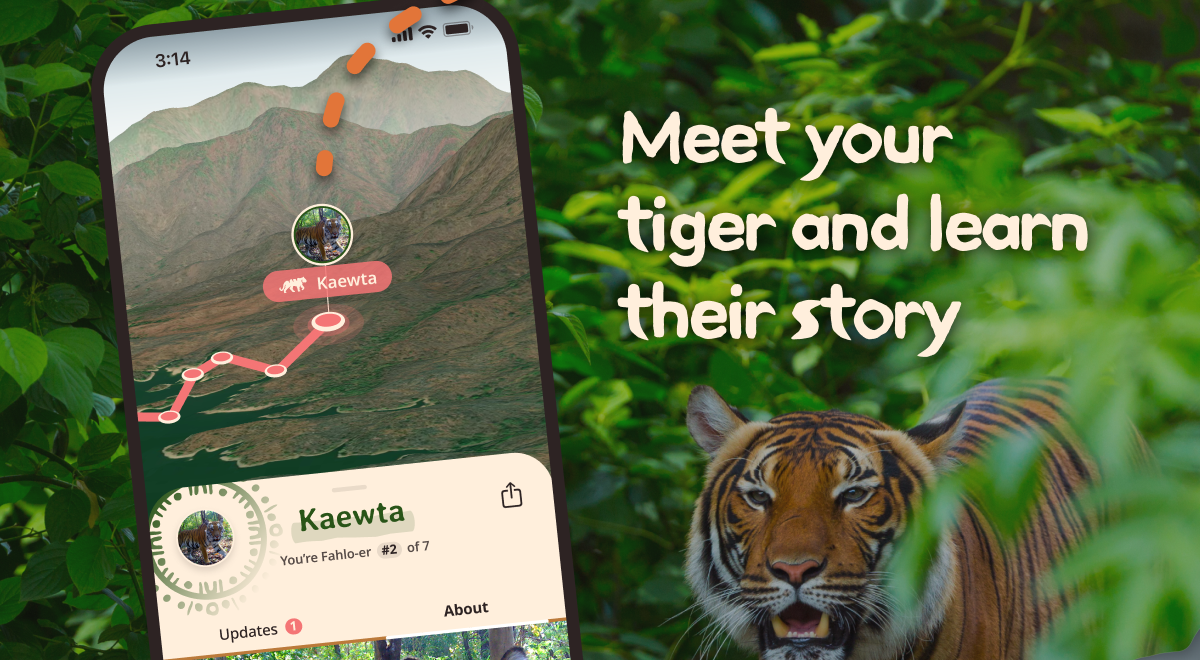 For the first time ever, you can track a tiger. Meet your tiger and learn their story